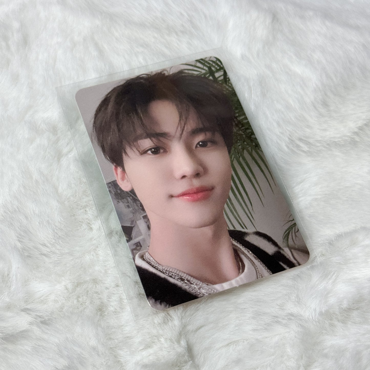 NCT Hot Sauce Photocards