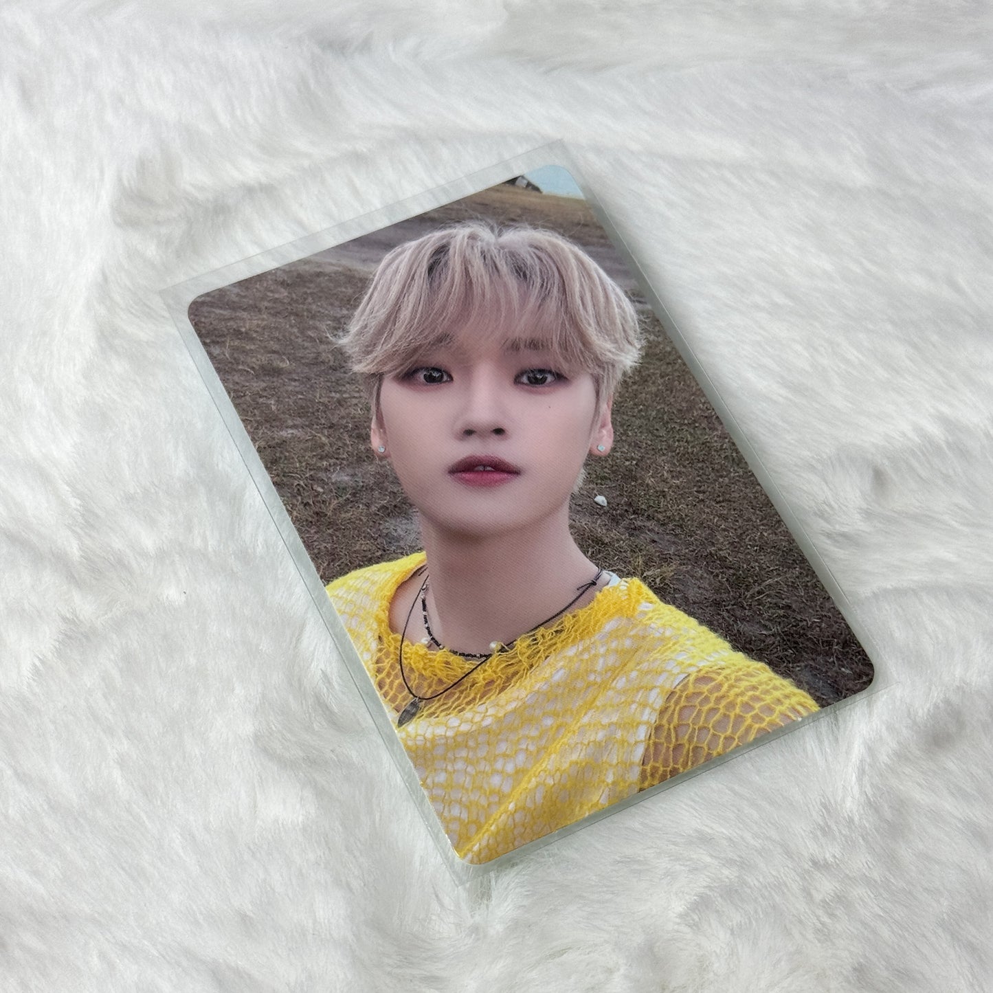 Wei Love Eternally Album Photocard