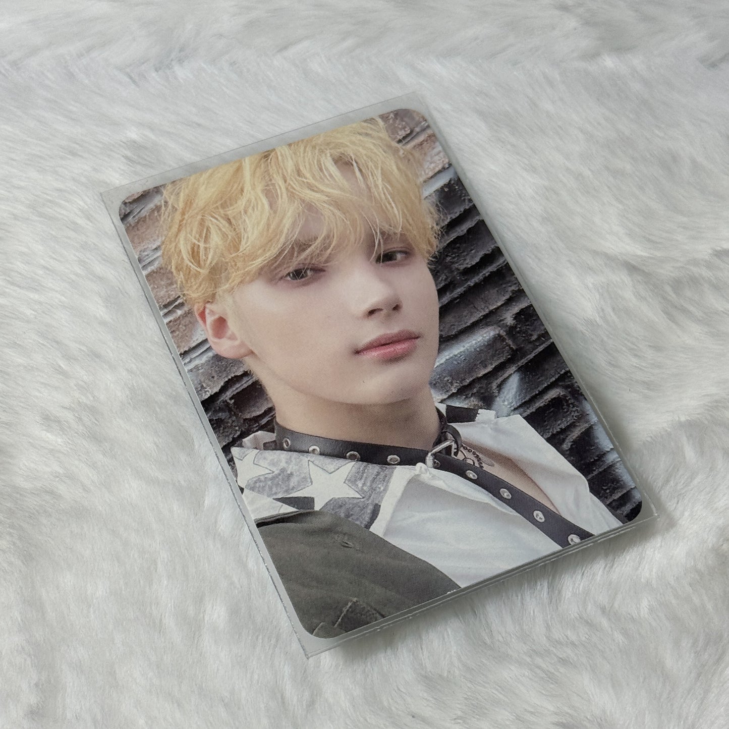 TXT  Free Fall Photocard