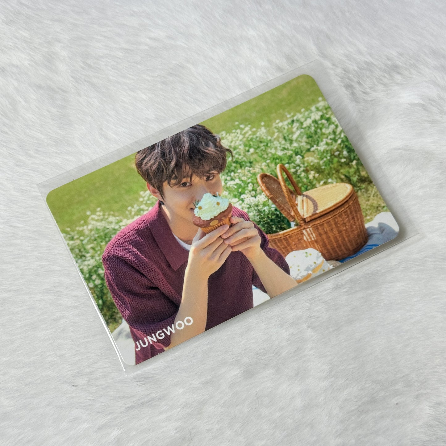 NCT Nature Republic Photocard