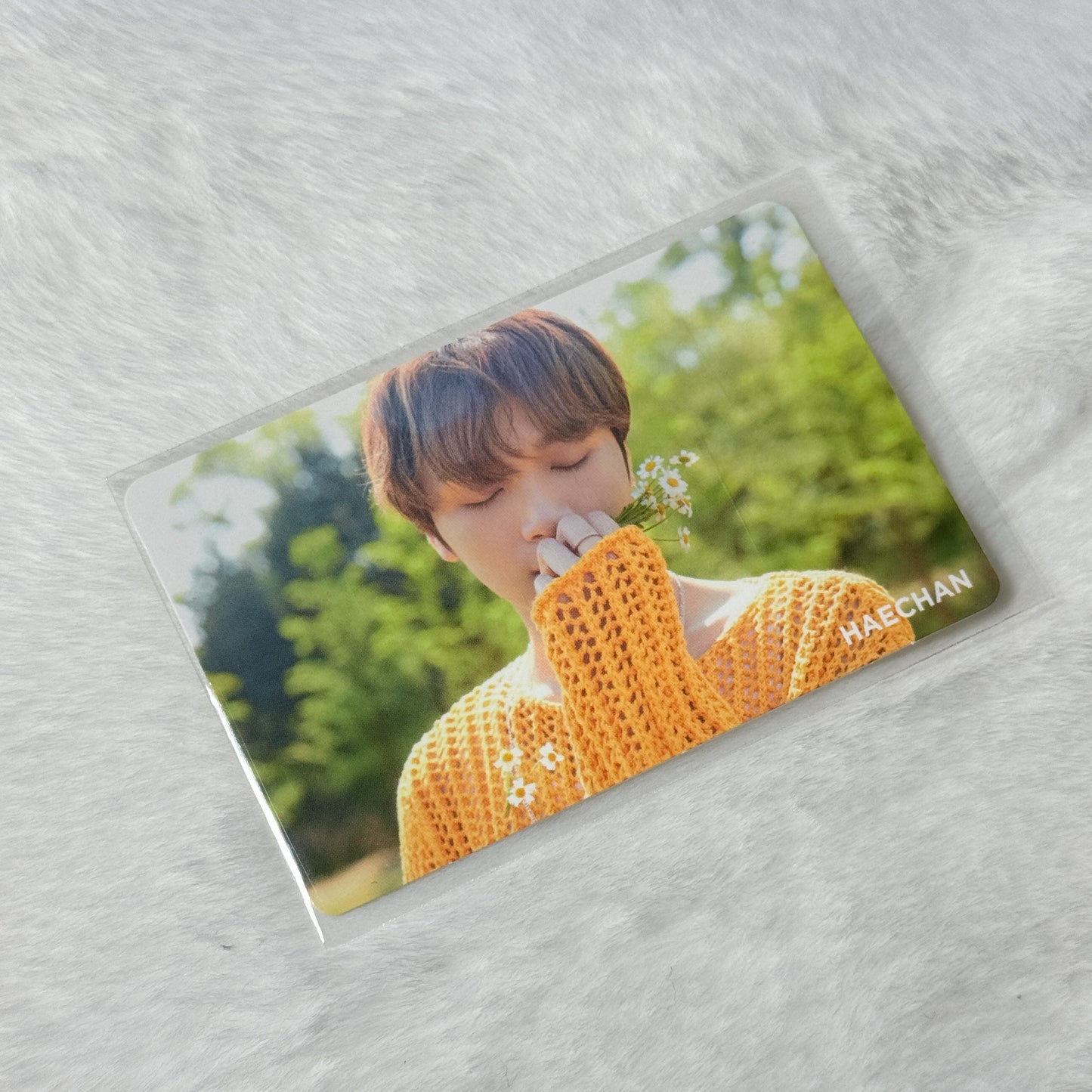 NCT Nature Republic Photocard