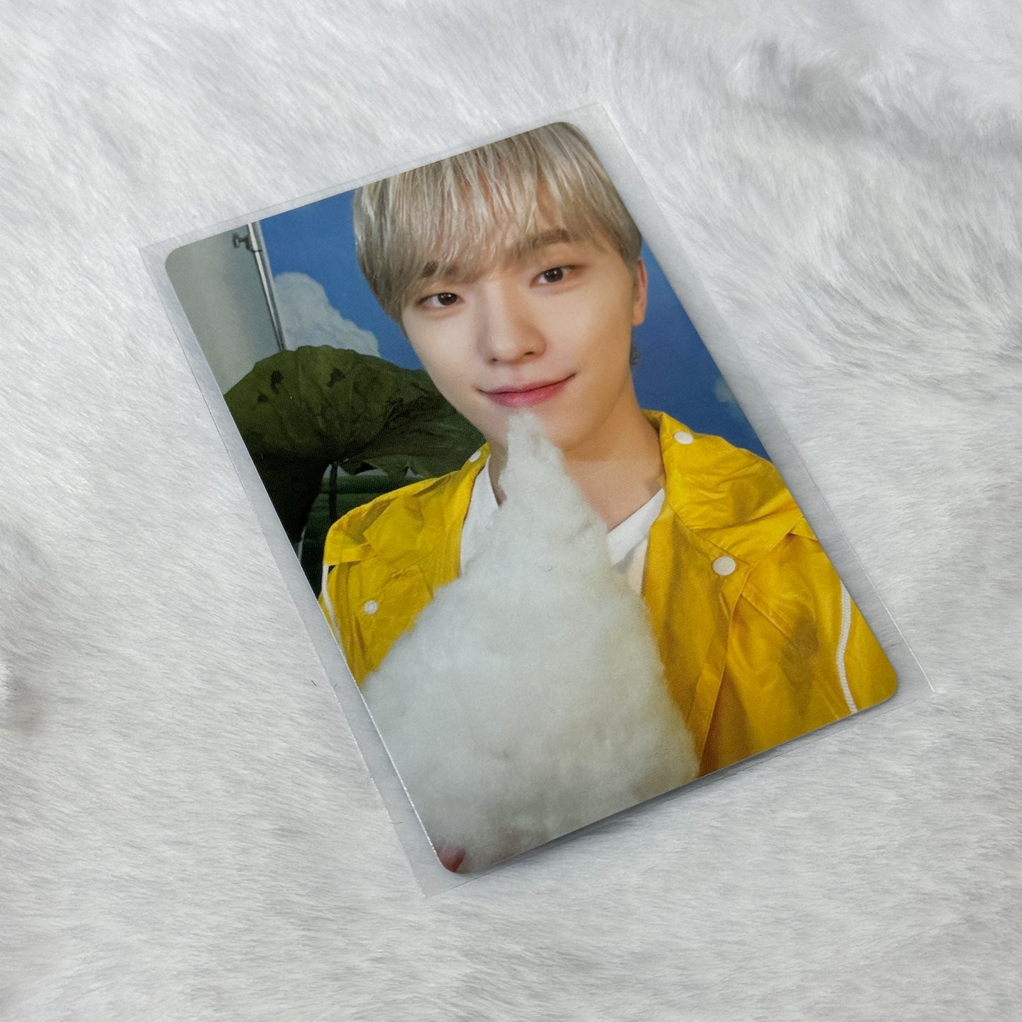 Seventeen Seventeenth Heaven Album Photocards