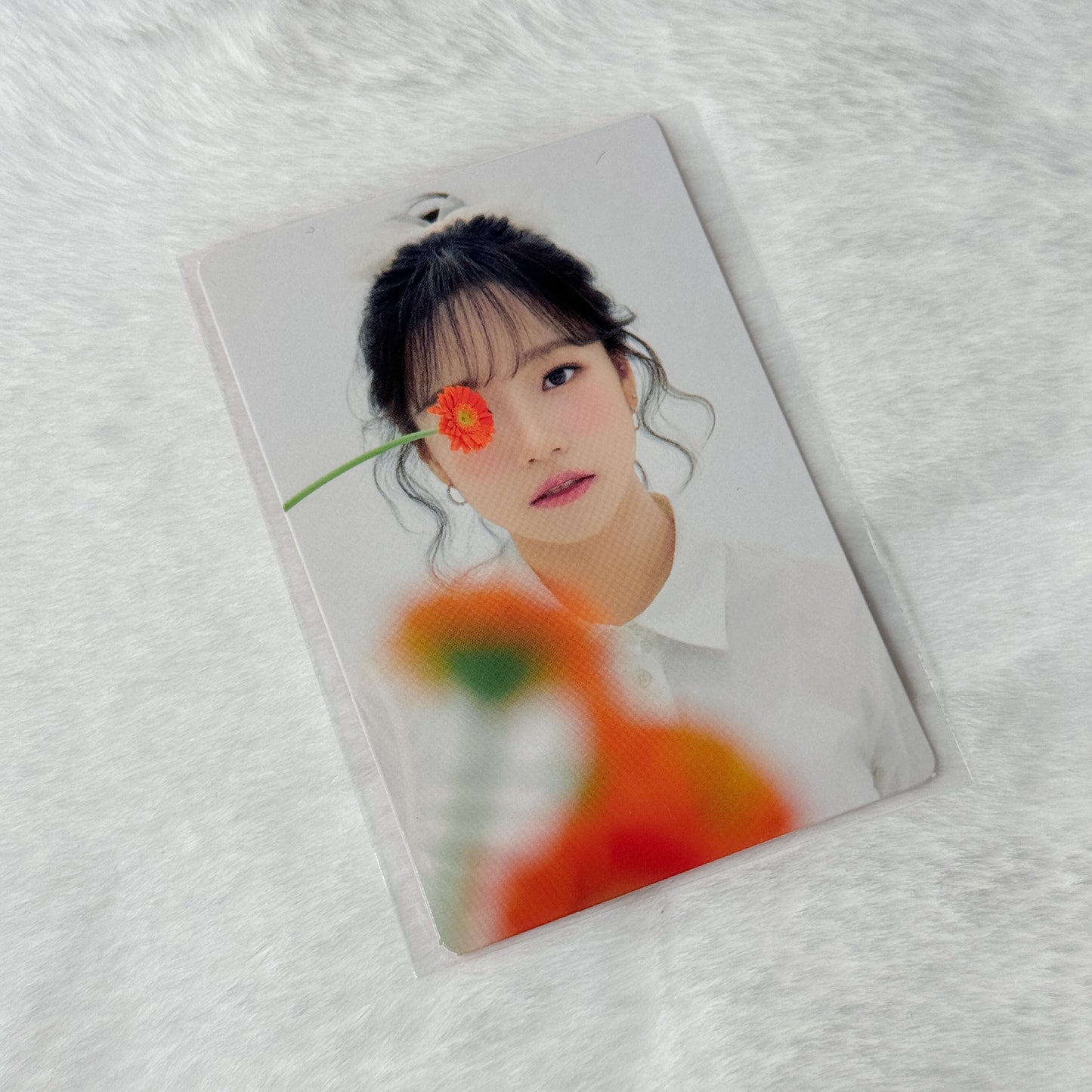 Izone One The Story Album Photocards