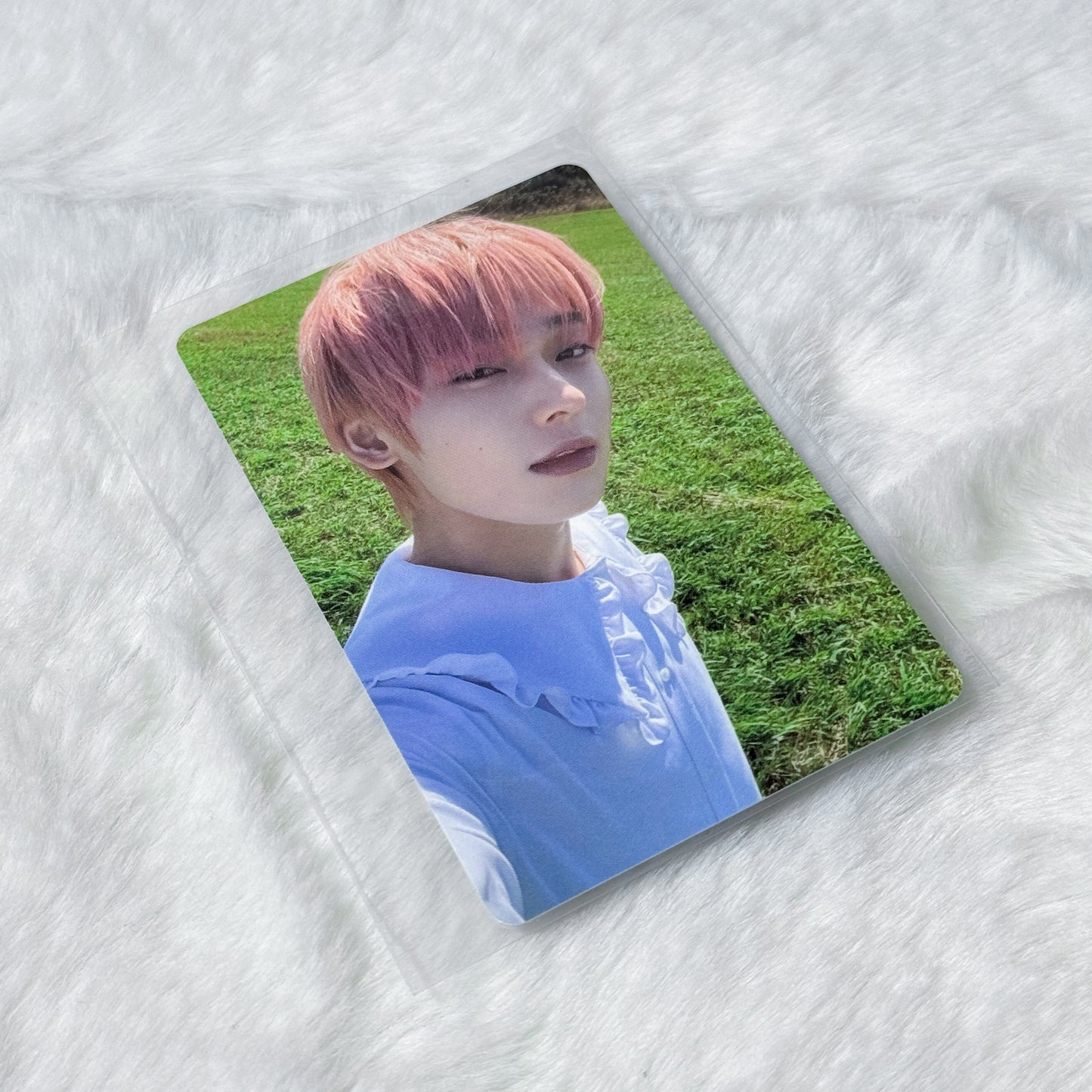 Enhypen Dimension: Answer Photocard