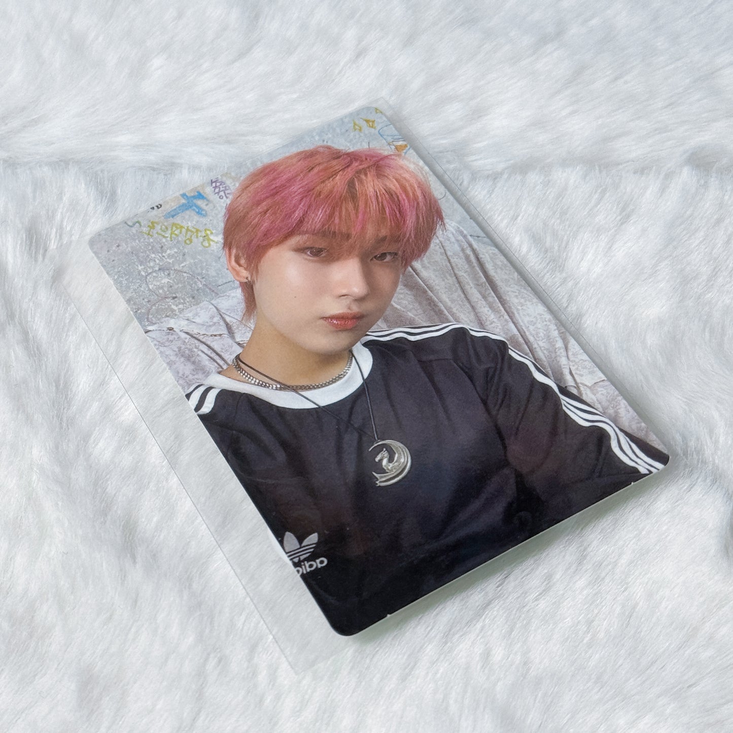 Enhypen Dimension: Dilemma Photocard