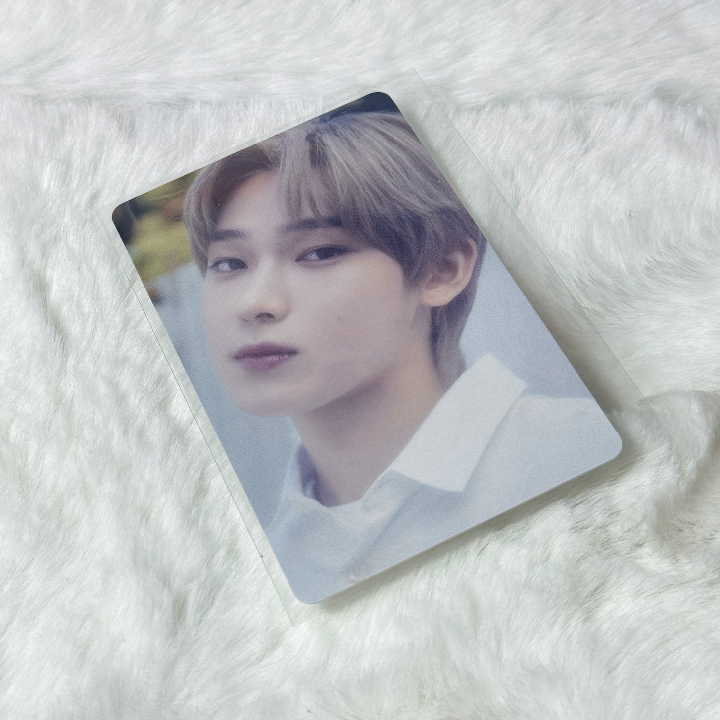 Enhypen Border Photocards