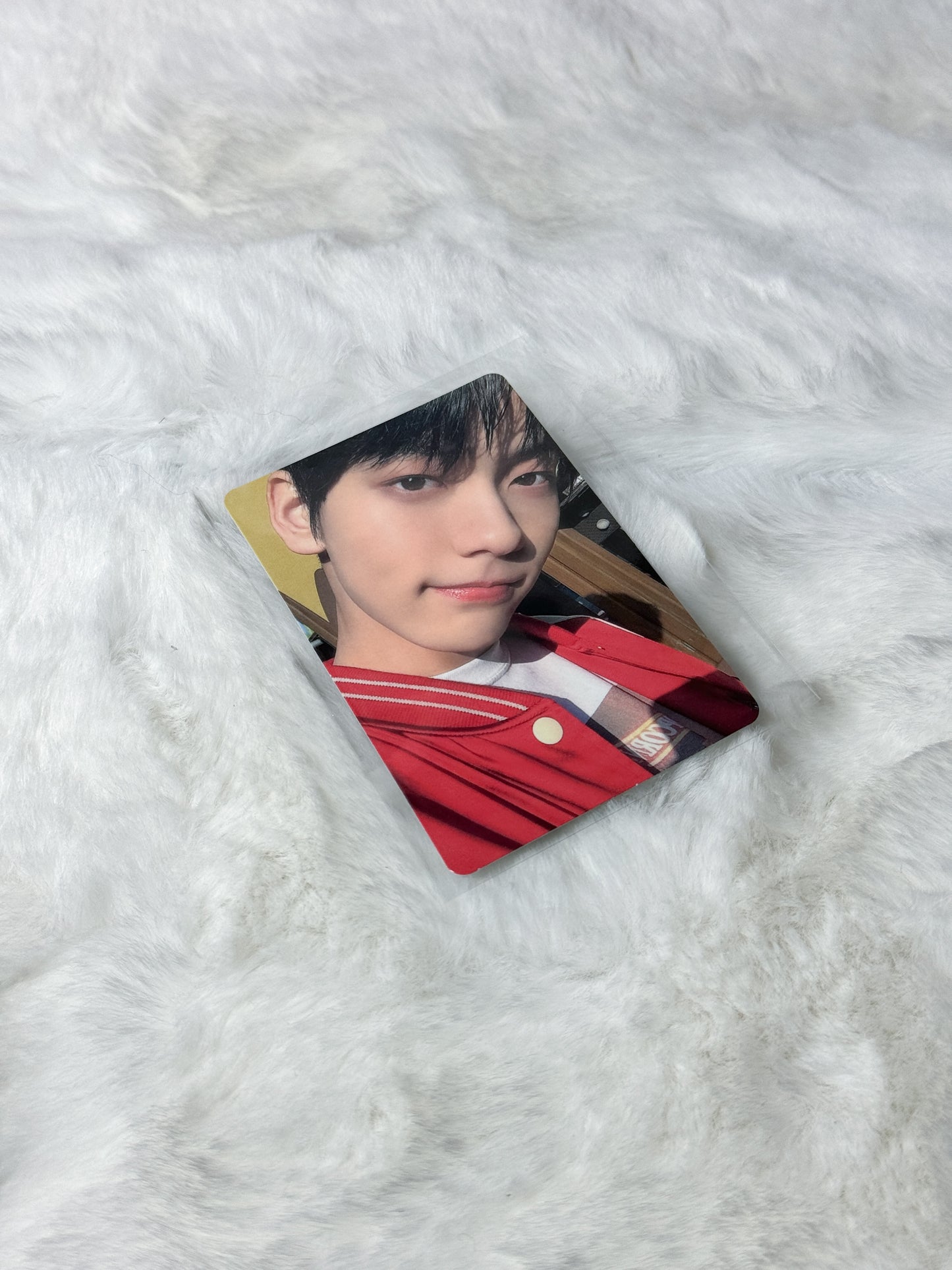 TXT The Chaos Chapter: Freeze Photocards