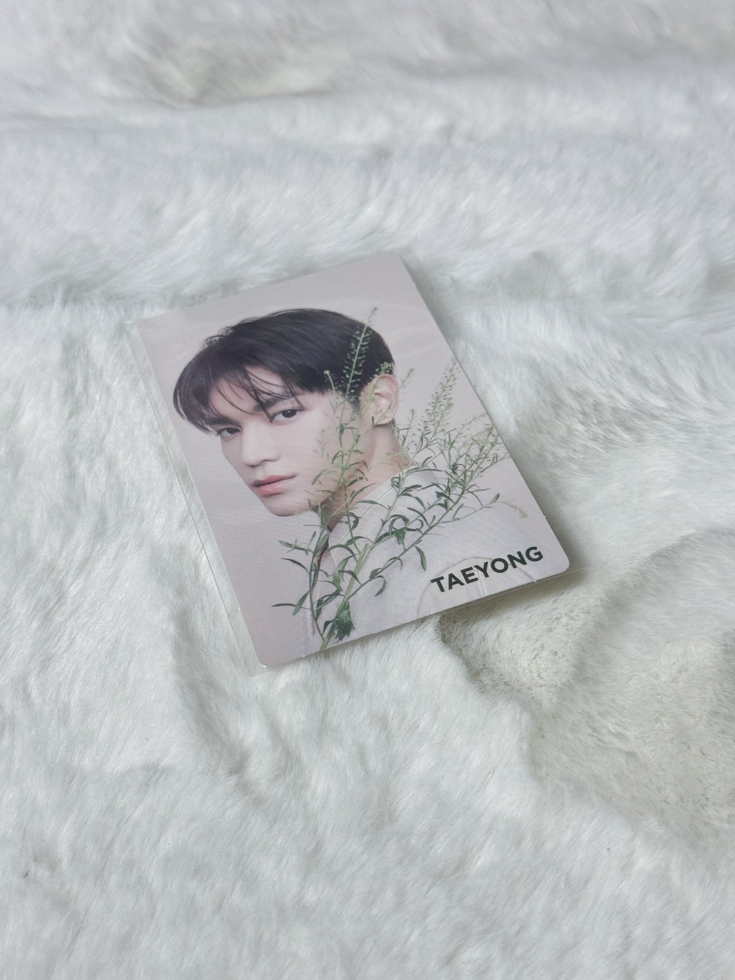 NCT Nature Republic Photocard