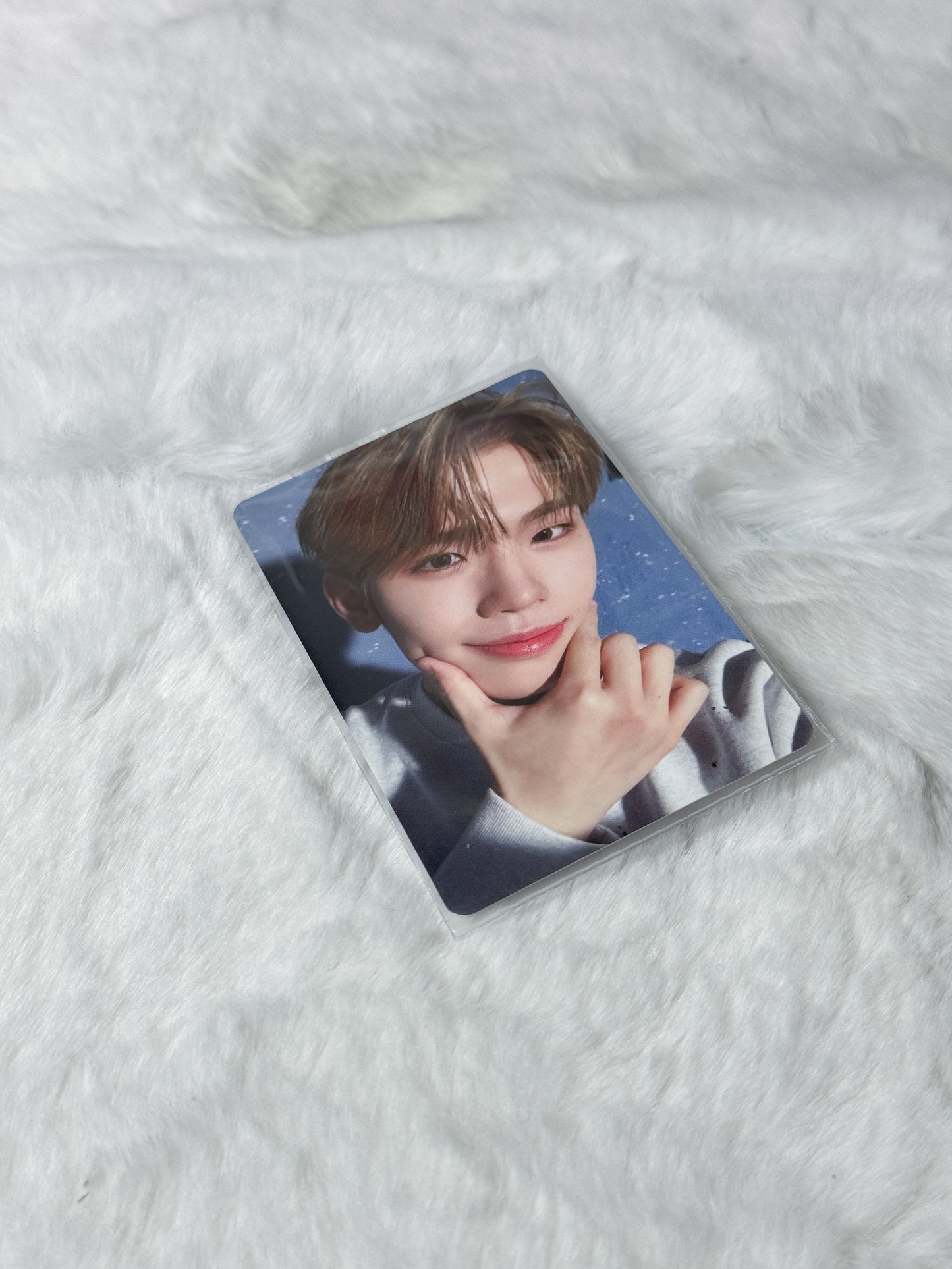 ZB1 Melting Point WITHMUU POB Photocard