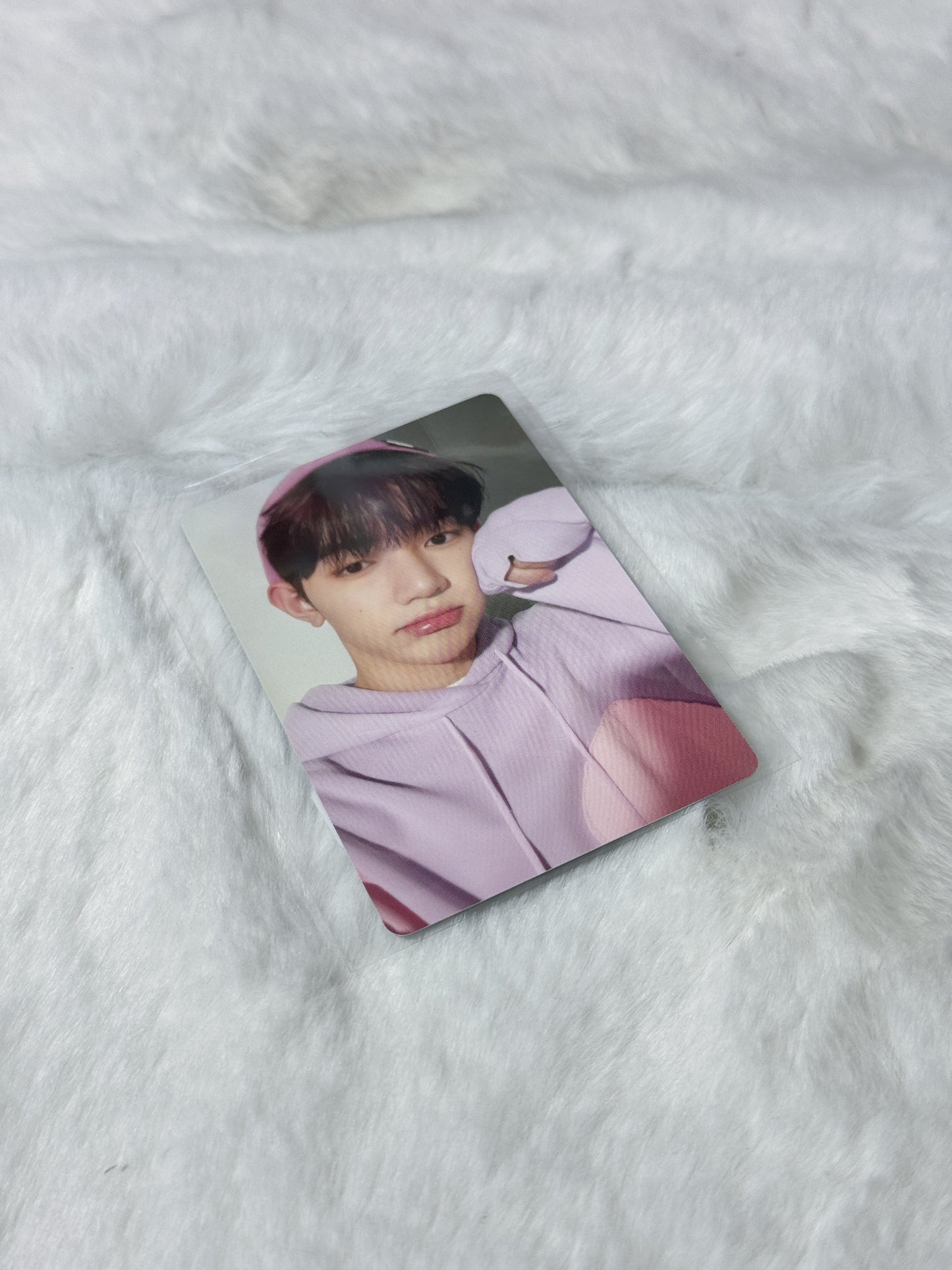 ZB1 The Beach Boy Photocards