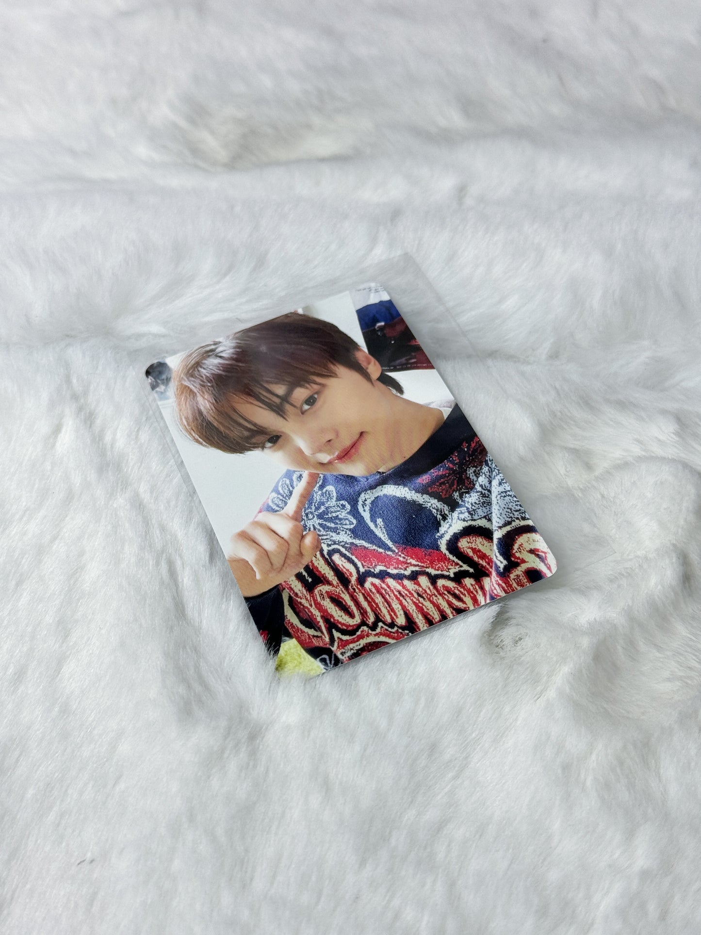 ZB1 The Beach Boy Photocards