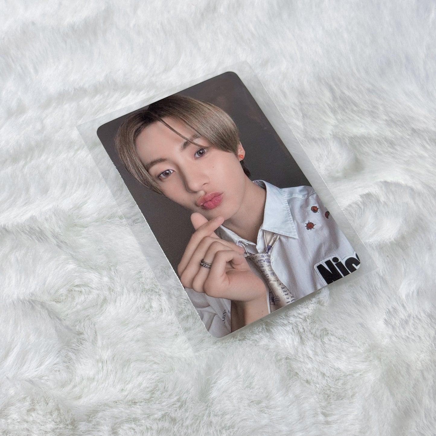 Riize Riizing Day Tour Photocard